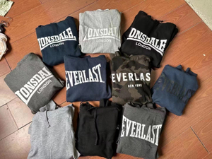 Stockpapa Everlast， Stock de vêtements à capuche 10 couleurs pour hommes